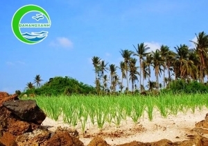 Quảng Ngãi – Cảng Sa Kỳ - Đà Nẵng