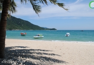 Đà Nẵng - Cù Lao Chàm - Đà Nẵng