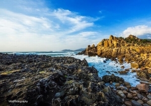 Ngày 3: Ninh Thuận – Nha Trang (ăn sáng – trưa – tối)