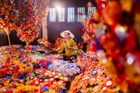 Ngắm Làng hoa giấy Thanh Tiên rực rỡ mỗi độ xuân về