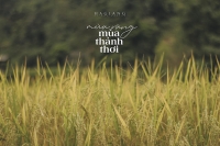 REVIEW CHUYẾN ĐI HÀ GIANG SĂN MÙA VÀNG ĐẸP MÊ HỒN